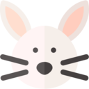 rabbit,bunny,animals,mammal,wildlife,animal kingdom,zoo