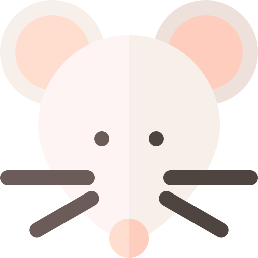 Rat