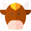 animals,mammal,wildlife,nature,animal kingdom,horns,bull,ox