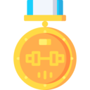 sports and competition,medal,sport,dumbbell,weightlift,competitions