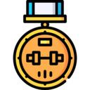 sports and competition,medal,sport,dumbbell,weightlift,competitions