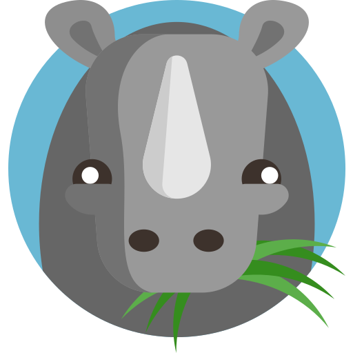 Rhinoceros
