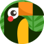 Jungle icon 64x64