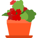 ecology,nature,plant,botanical,gardening,garden,yard ok 