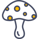 food,food and restaurant,nature,mushroom,Muscaria,Fungi ok 