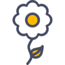 nature,botanical,flower,blossom,petals ok 