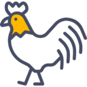 animals,bird,animal,farm,farming,rooster,cock ok 