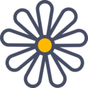 nature,botanical,flower,blossom,petals ok 