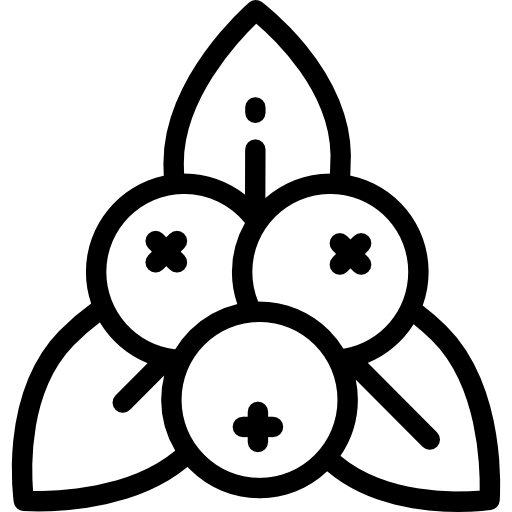 Mistletoe
