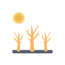ecology and environment,sun,dry,tree,disaster,desert,Natural disaster,desertification ok 
