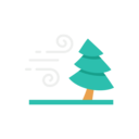 weather,trees,wind,storm ok 