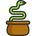 animals,mammal,wild life,animal kingdom,zoo,snake