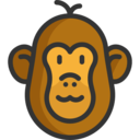 animals,mammal,wildlife,animal kingdom,zoo,monkey,primate