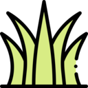 nature,plant,botanical,garden,grass ok 
