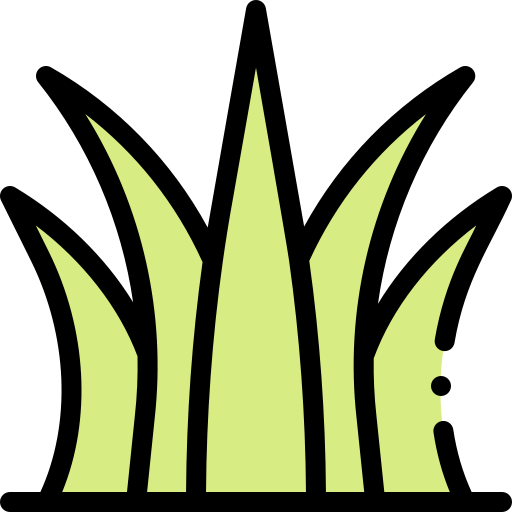 Grass