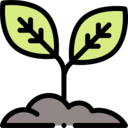 nature,botanical,sprout,garden