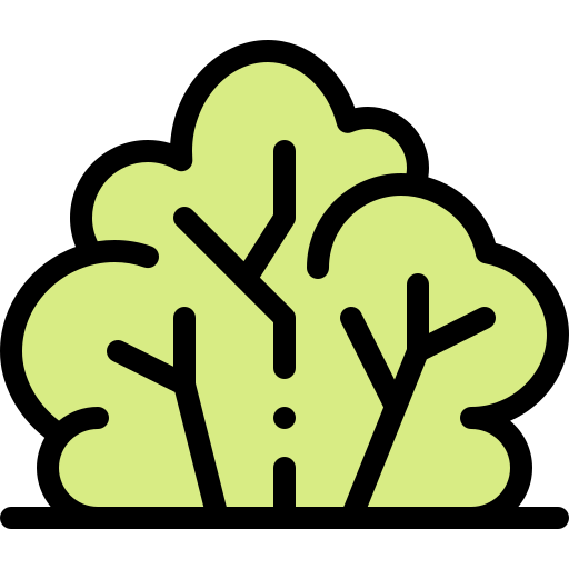 Bush