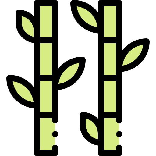 Bamboo