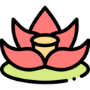nature,lotus,flower,blossom ok 