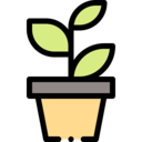 nature,pot,plant,botanical,gardening