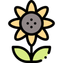 nature,botanical,garden,flower,blossom,sunflower ok 