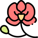 nature,botanical,garden,flower,blossom,orchid