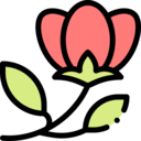 nature,botanical,flower,blossom,petals