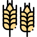 food and restaurant,cereal,wheat,grain,seeds