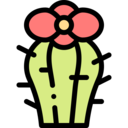 dry,nature,plant,botanical,dessert,cactus ok 