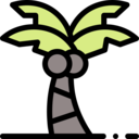 nature,botanical,tree,garden,yard