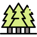 nature,botanical,tree,garden,yard,forest ok 