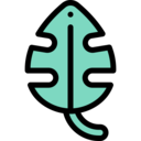 nature,tropical,plant,farming and gardening,leaf,gardening,leaves,monstera,monstera leaf