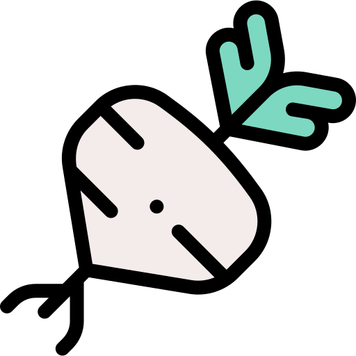 Radish