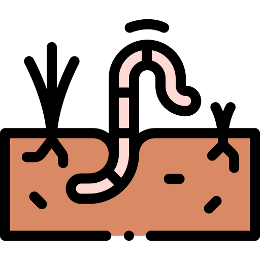 Worm