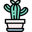 decoration,dry,nature,pot,plant,botanical,farming and gardening,gardening,garden,flower,cactus,plant pot,botanic,florist
