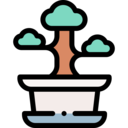 japan,nature,bonsai,plant,botanical,farming and gardening,tree,plant pot
