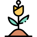 nature,plant,botanical,farming and gardening,gardening,garden,plants,flower,blossom,botanic,flowering