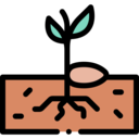 nature,plant,farming and gardening,farm,garden,growth,seeds,germination,seedling