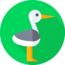 animals,nature,bird,animal,fly,feather,stork,beak