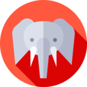 animals,wild life,animal kingdom,zoo,elephant ok 