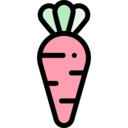 food,carrot,vegetable,vegan,healthy food,organic,diet,vegetarian,farming and gardening