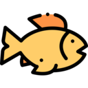 food,animals,healthy food,organic,diet,fish,sea life,animal,fast food ok 