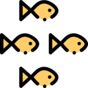 sports and competition,school,fish,sea,shoal