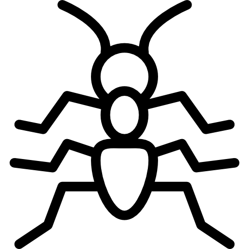 Ant