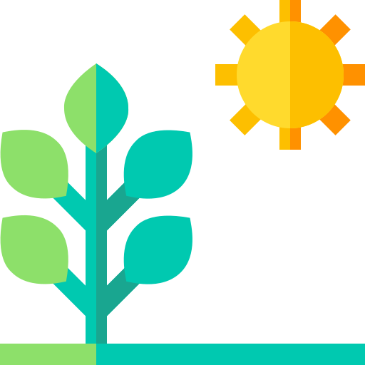 Photosynthesis
