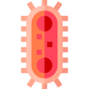 medical,virus,healthcare and medical,education,science,biology,coronavirus,bacteria,cell,scientist,investigation