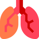 healthcare and medical,organ,anatomy,lungs,lung