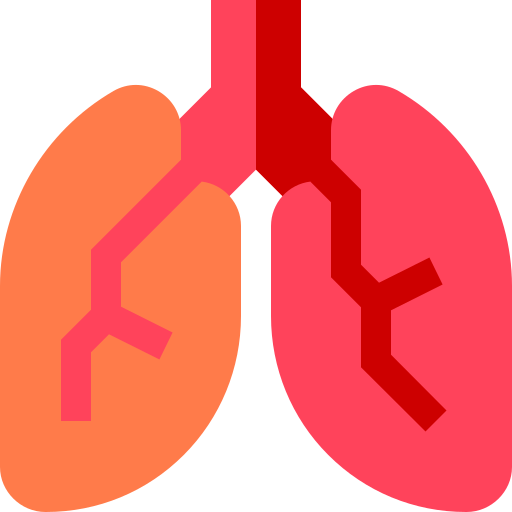 Lungs