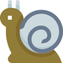 animals,wildlife,weather,nature,animal kingdom,animal,snail,snails,slow,slug