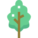 weather,nature,plant,botanical,natural,leaf,herbs,leaves,garden,spa